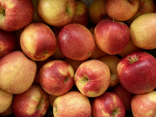 Produce Market «Welsh Heritage Farms», reviews and photos, 20758 528th Ave, Lake Crystal, MN 56055, USA