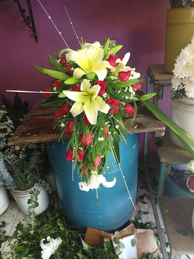 Floreria Eden florería en  en la zona Cabecera Municipal