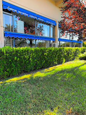 Cabinet Immobilier Catherine Johnson à Mandelieu-la-Napoule