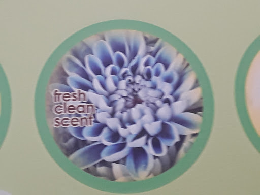 Dry Cleaner «Kennett Square Cleaners», reviews and photos, 817 E Baltimore Pike, Kennett Square, PA 19348, USA