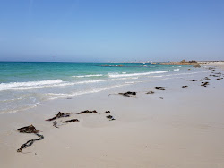 Plage de Keremma'in fotoğrafı vahşi alan