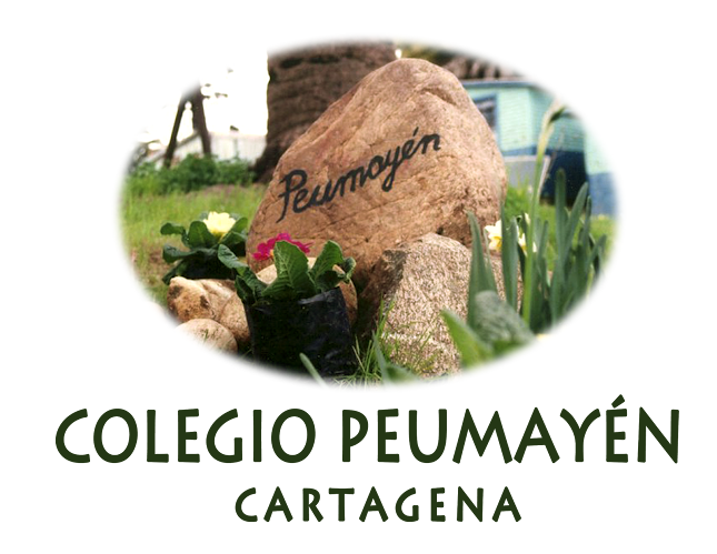 Colegio Peumayén Cartagena - Escuela