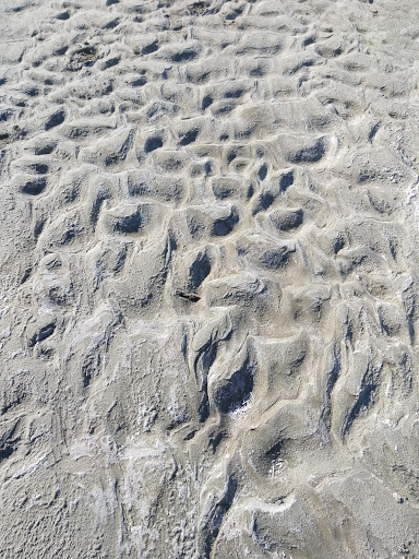 Concert Hall «The Great Saltair», reviews and photos, 12408 West Saltair Drive, Magna, UT 84044, USA