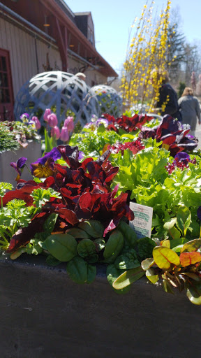 Garden Center «Copia Home and Garden», reviews and photos, 475 Smith Ridge Rd, South Salem, NY 10590, USA