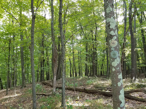 Episcopal Church «Holy Cross Monastery», reviews and photos, 1615 US-9W, Hyde Park, NY 12538, USA