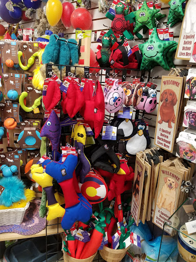 Pet Supply Store «USA Dog Shop», reviews and photos, 549 NY-17, Tuxedo Park, NY 10987, USA