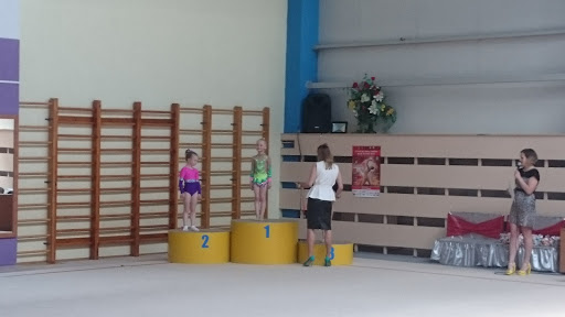 Shkola Po Khudozhestvennoy Gimnastike