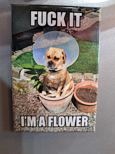 Lingerie Store «Hustler Hollywood», reviews and photos, 1038 Lebanon St, Monroe, OH 45050, USA