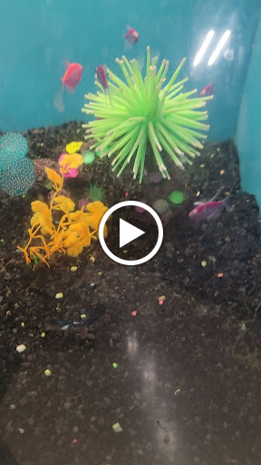 Pet Supply Store «Petco Animal Supplies», reviews and photos, 551 W Hampden Ave, Englewood, CO 80110, USA