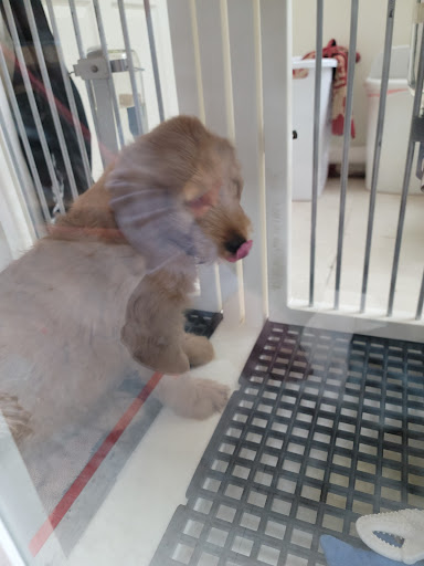 Shopping Mall «Hampton Plaza Shopping Center», reviews and photos, 4033 W Mercury Blvd, Hampton, VA 23666, USA