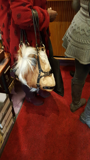 Boutique «Flo Boutique Co», reviews and photos, 404 W Willis St, Detroit, MI 48201, USA