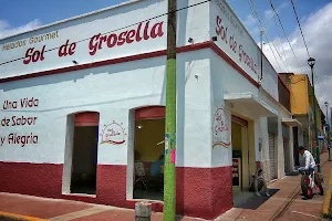 Sol de Grosella Helados Gourmet Hidalgo image