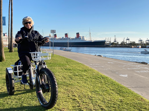 Fullerton Electric Bicycles image