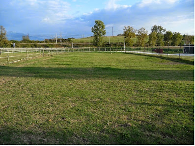 VM equestrian center asd km.30,500, Via Salaria, 00010 Montelibretti RM, Italia