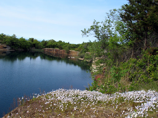 Museum «Hammond Castle Museum», reviews and photos, 80 Hesperus Ave, Gloucester, MA 01930, USA