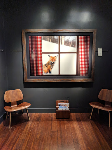 Art Gallery «National Geographic | Fine Art Galleries», reviews and photos, 607 E Las Olas Blvd, Fort Lauderdale, FL 33301, USA