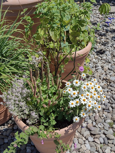 Gift Shop «NYBG Shop», reviews and photos, 2900 Southern Blvd, Bronx, NY 10458, USA