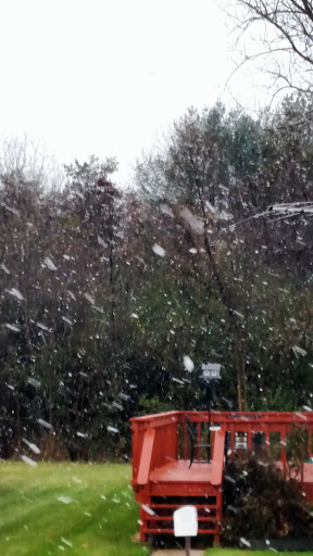 Nature Preserve «Greenbelt Forest Preserve», reviews and photos, 1110 S Green Bay Rd, North Chicago, IL 60035, USA