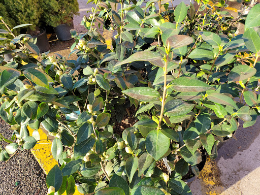 Home Improvement Store «The Home Depot», reviews and photos, 230 Oak Lee Dr, Ranson, WV 25438, USA