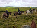 Adventure Clydesdale