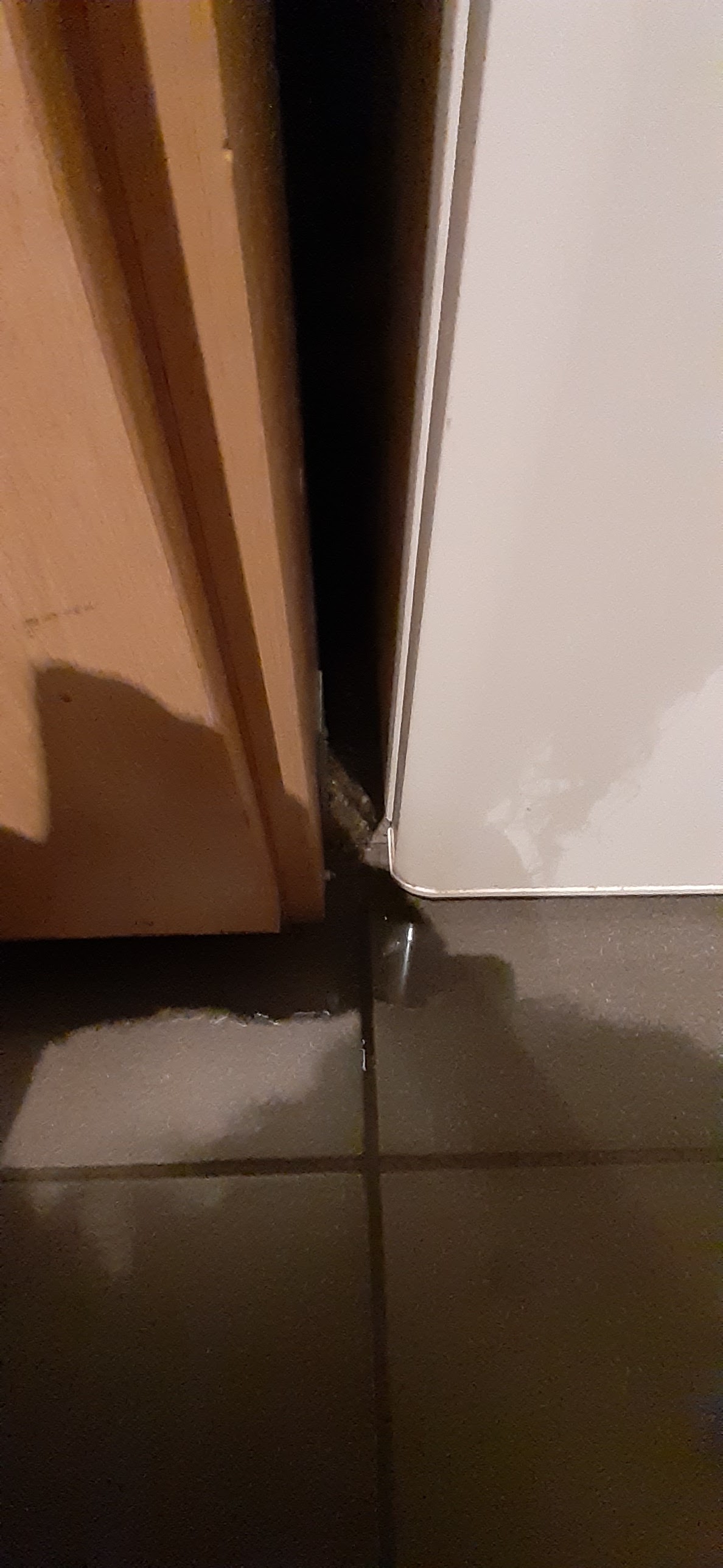 Photo n° 4 de l'avis de Aurélia.a fait le 26/01/2023 à 22:00