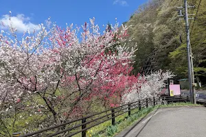 Seinaiji Ichiban Shimizu Spring image