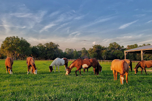 Deep Creek Stables image