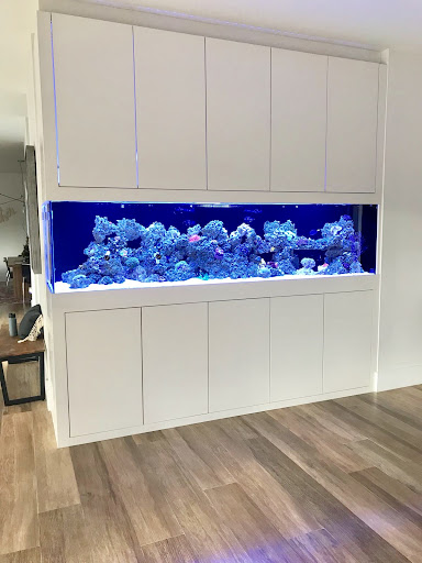 Aquarium «Aquarium Marketing», reviews and photos, 4615 NW 72nd Ave #112, Miami, FL 33166, USA