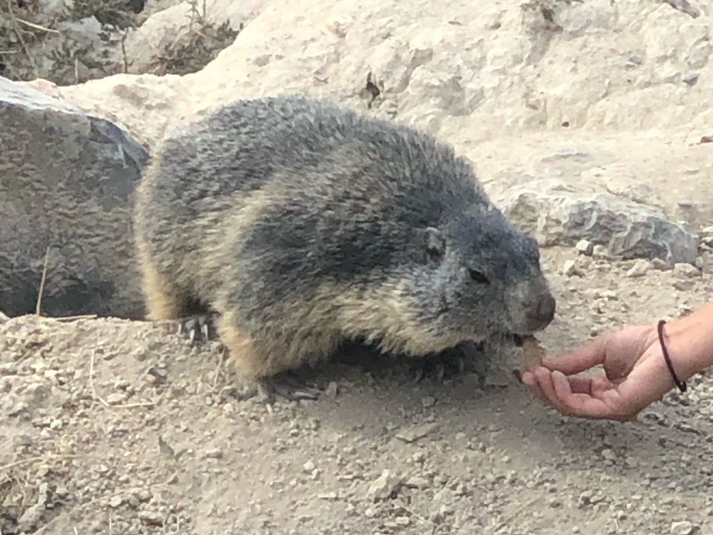 Photo n° 15 de l'avis de Jérémie.r fait le 28/08/2020 à 17:19