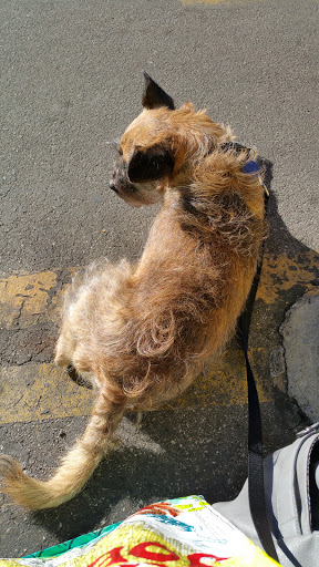 Car Wash «Canoga Park Hand Car Wash», reviews and photos, 21004 Sherman Way, Canoga Park, CA 91303, USA