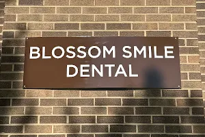 Blossom Smile Dental image