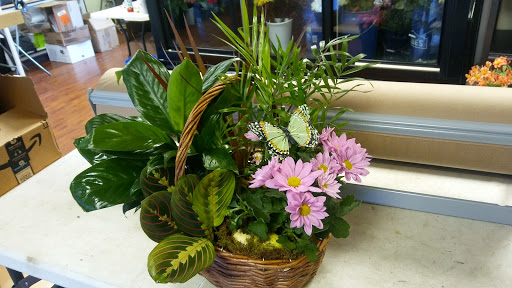 Florist «Blooms & Bouquets», reviews and photos, 2502 N Howard Ave, Tampa, FL 33607, USA