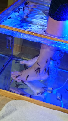 Déten't Fish Spa à Vienne
