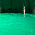 Photo n°4 de l'avis de mauro.t fait le 06/10/2023 à 06:54 sur le  Aquardens à Pescantina