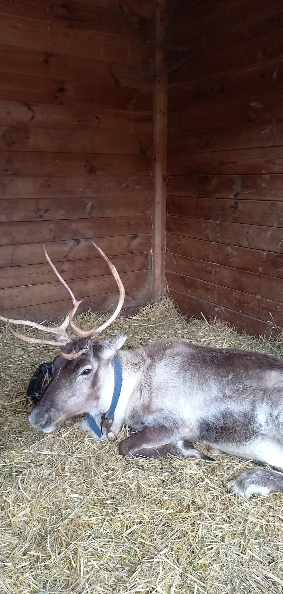 Photo n° 18 de l'avis de Djamylive.h fait le 07/12/2023 à 07:25