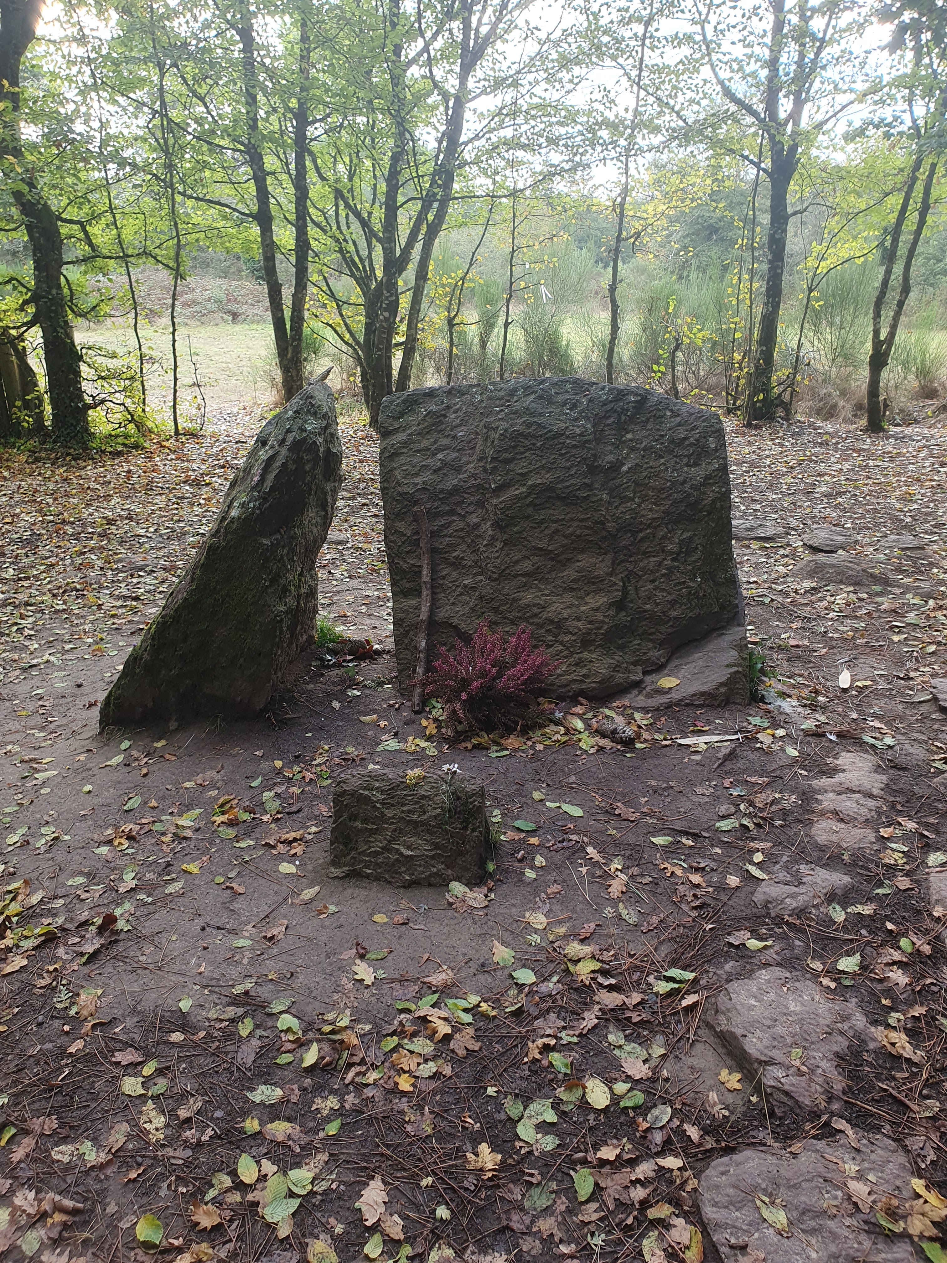 Photo n° 3 de l'avis de Maya.i fait le 10/10/2020 à 14:59