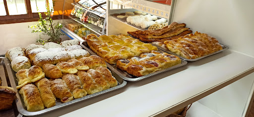 AF1QipNq3AyRggPF4pekJ6dxZ5 3JU3 2FNeIN1NY3L1