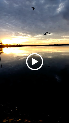 Sporting Goods Store «Causeway Sporting Goods», reviews and photos, 2233 Greenville Rd NE, Cortland, OH 44410, USA