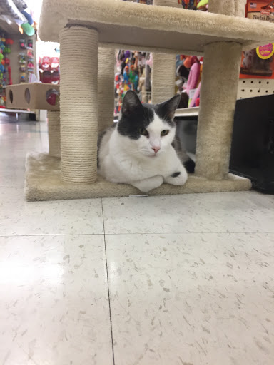 Pet Supply Store «Classic Pet Supply II», reviews and photos, 3180 Gratiot Blvd, Marysville, MI 48040, USA