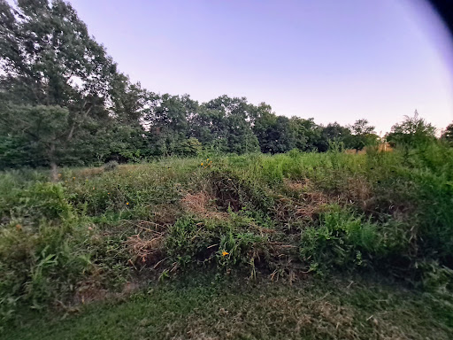 Tourist Attraction «Caesar Creek Visitor Center», reviews and photos, 4020 N Clarksville Rd, Waynesville, OH 45068, USA