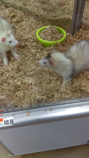 Pet Supply Store «Pet Supplies Plus», reviews and photos, 768 S Jefferson Ave c, Cookeville, TN 38501, USA