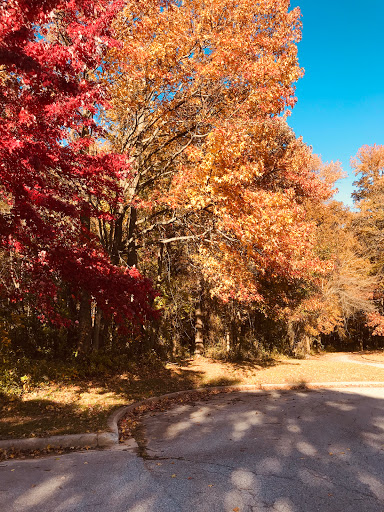 Park «Bechtel Park», reviews and photos, Naamans Rd, Claymont, DE 19703, USA