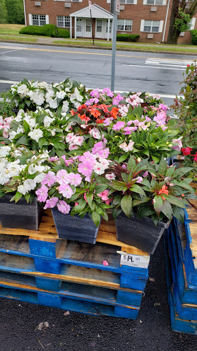 Produce Market «Elias Market», reviews and photos, 3131 Linden St, Bethlehem, PA 18017, USA