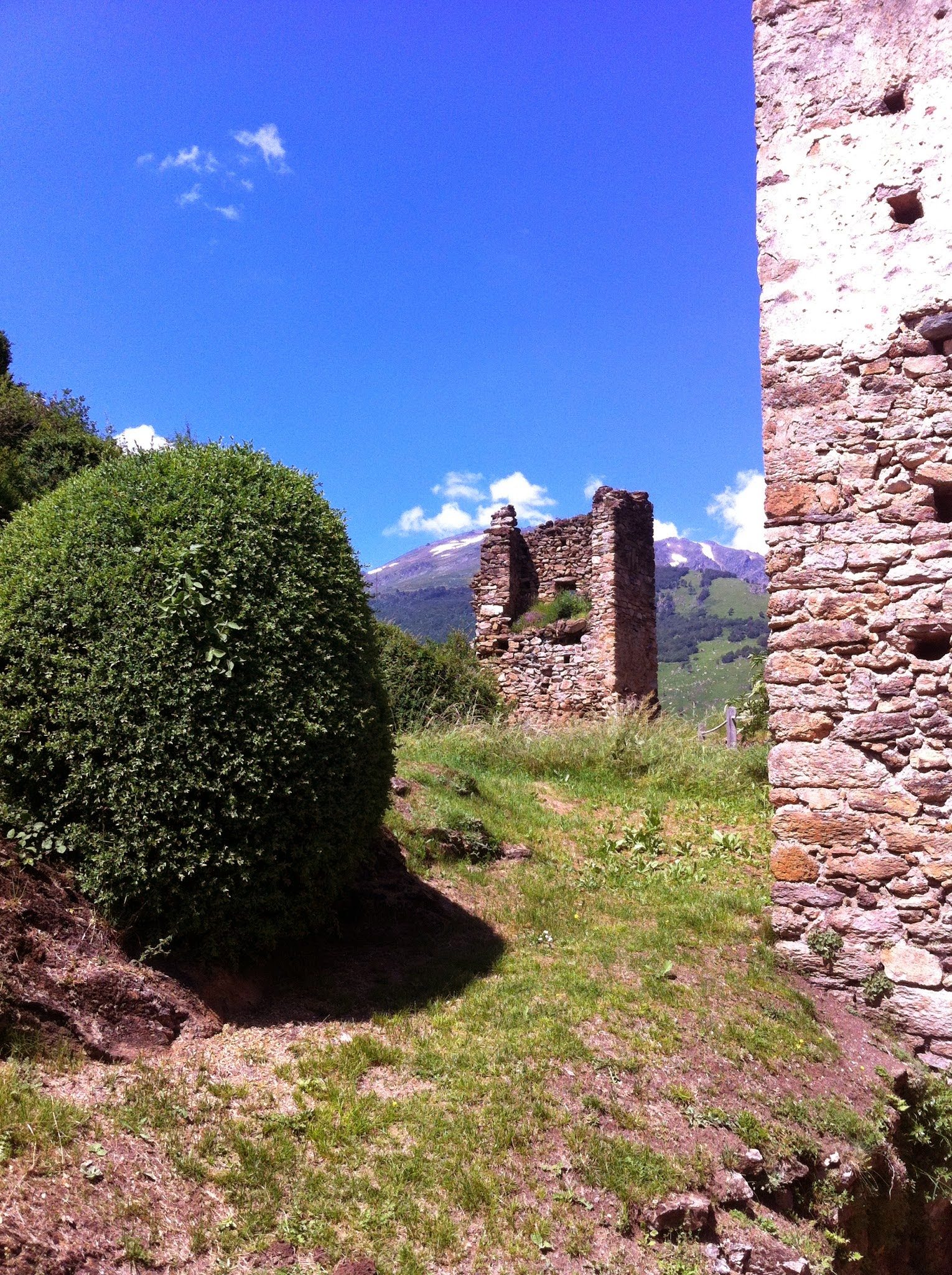 Photo n° 1 de l'avis de Cat.a fait le 19/07/2019 à 14:04