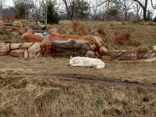 Zoo «Detroit Zoo», reviews and photos, 8450 W 10 Mile Rd, Royal Oak, MI 48067, USA