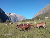 Photos du propriétaire du Pizzas à emporter La Coopérative à Les Deux Alpes - n°6