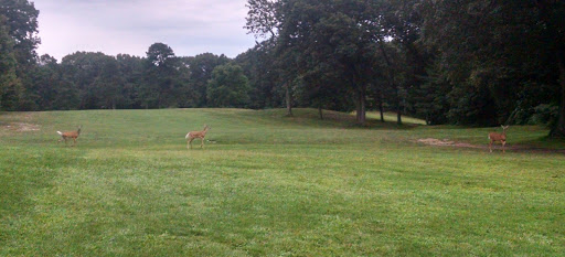Golf Course «Maynard Golf Course», reviews and photos, 50 Brown St, Maynard, MA 01754, USA