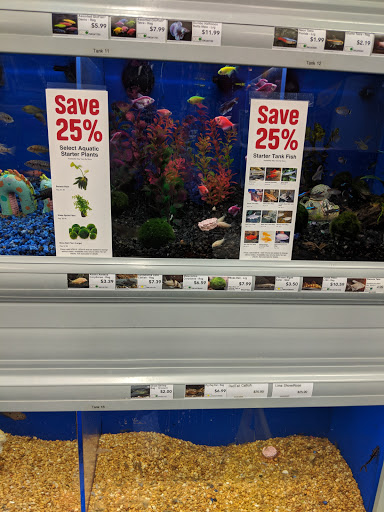 Pet Supply Store «Pet Supermarket», reviews and photos, 151 E Van Fleet Dr, Bartow, FL 33830, USA