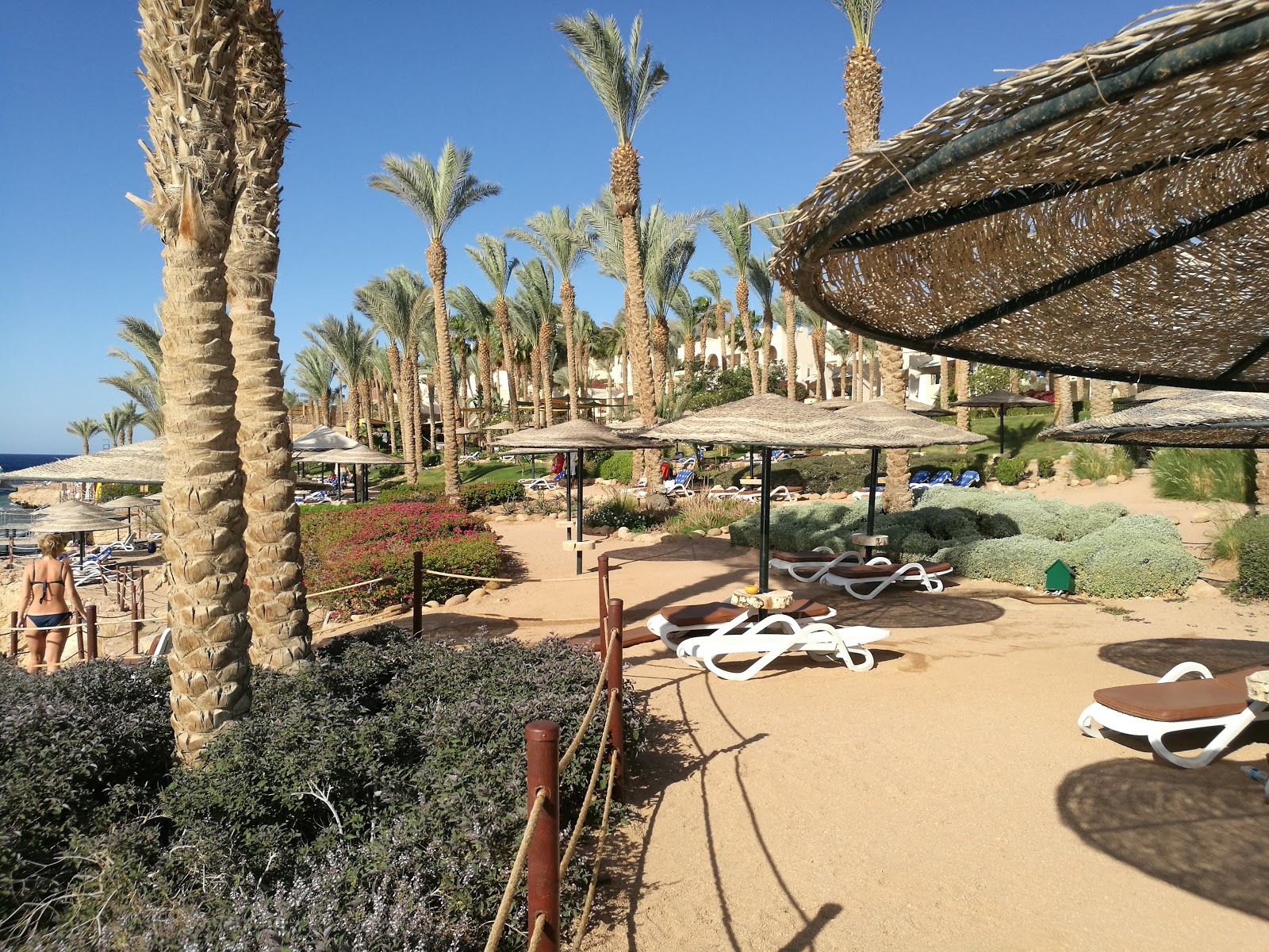 Photo of Rotana resort beach and the settlement