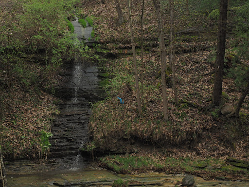 Tourist Attraction «Winsdor Mills Covered Bridge», reviews and photos, 7696 Warner Hollow Rd, Windsor, OH 44099, USA